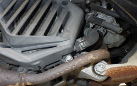 HONDA BENLY 50 AA05