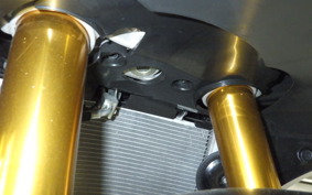 SUZUKI GSX-R1000R A 2021 DM11G