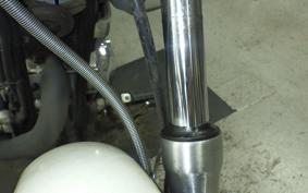 YAMAHA VIRAGO 250 3DM