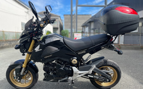 HONDA GROM JC61