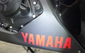 YAMAHA YZF-R25 2020 RG10J