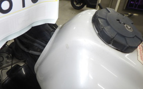 YAMAHA TW200 Gen.2 2009 DG07J