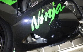 KAWASAKI ZX 1400 NINJA R A 2019