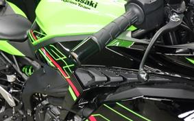 KAWASAKI ZX-4RR 2023 ZX400P