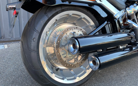 HARLEY FLFBS 2017 YGK