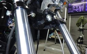 OTHER UNREGISTERED MODEL by BDS250 1998