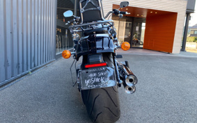HARLEY FLFBS 2017 YGK