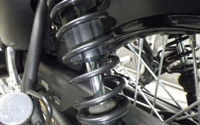 KAWASAKI W175 SE 2024