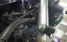 KAWASAKI 250TR 2024 BJ250F