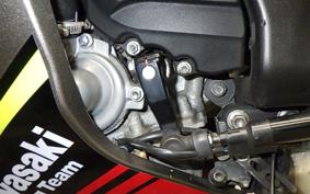 KAWASAKI ZX 10 NINJA ABS 2019 ZXT02E