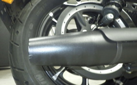 HARLEY XL883N 2017