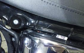 HARLEY FXBR1920 2024