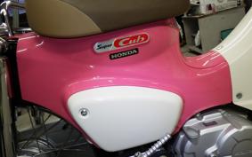 HONDA C110 SUPER CUB 2026 JA44