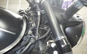 KAWASAKI W800 STREET 2019 EJ800B