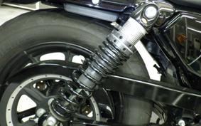 HARLEY XL1200NS 2020