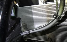 KAWASAKI ZX-4RR 2025 ZX400P