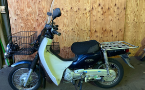HONDA SUPER CUB110 JA10