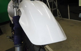 YAMAHA TT250R RAID 4GY