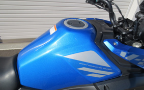 SUZUKI STROM 250ABS DS11A