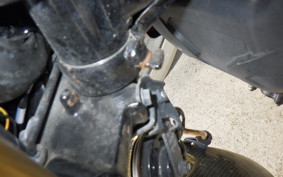 HONDA GROM JC61