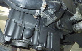 HONDA HORNET 250 2013 MC31