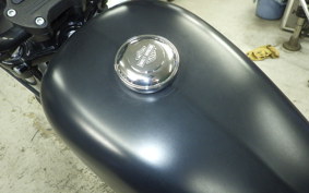 HARLEY XL883N 2016