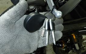 HARLEY FXLRST1920 2023
