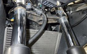 HONDA CBR250R CS250C