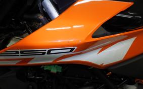 KTM 250 DUKE 1999