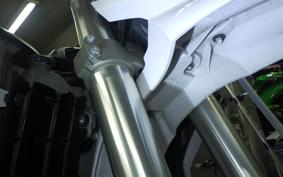 YAMAHA WR250R DG15J