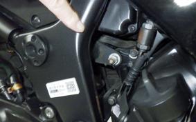 KAWASAKI NINJA 250R EX250K