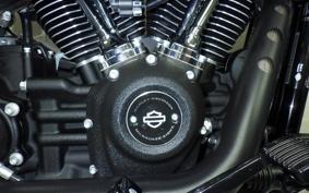HARLEY FXBBS1870 2024