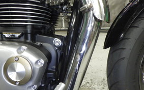 TRIUMPH BONNEVILLE SPEED 2024