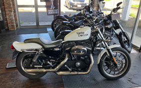 HARLEY XL883R 2009 CS2