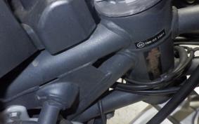 TRIUMPH TIGER 800 2013