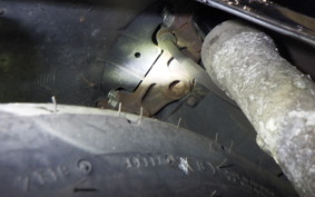 HONDA LEAD 100 2008 JF06