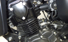 YAMAHA FZ-X150 2024