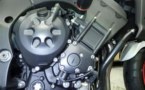 YAMAHA FZ1 FAZER 2010 RN21J
