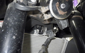 YAMAHA YZF R-3 2021 RH13J