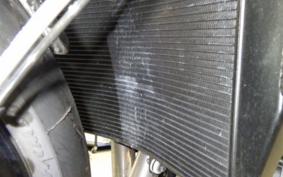 TRIUMPH SPEED TRIPLE RR 2024