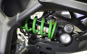 KAWASAKI ZX-4RR 2024 ZX400P