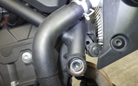 YAMAHA MT-25 A 2024 RG43J
