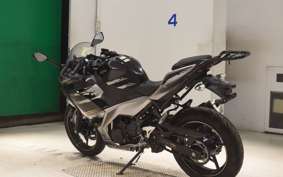 KAWASAKI NINJA 250 2 2020 EX250P