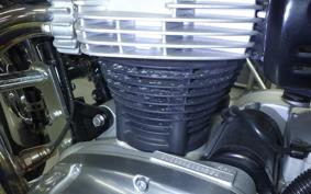 KAWASAKI W800 2022 EJ800E