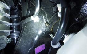 HONDA LEAD 125 2026 JK12