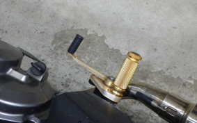 KAWASAKI Z125 PRO 2026 BR125H