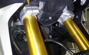 BMW G310GS
