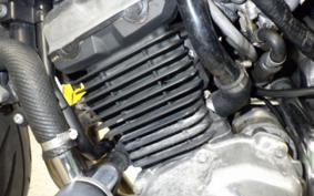 KAWASAKI BALIUS 250 Gen.2 2023 ZR250B