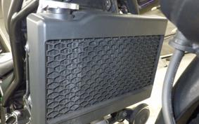 HONDA REBEL 250 A 2017 MC49