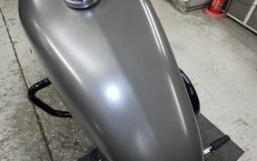 HARLEY XL883N 2018